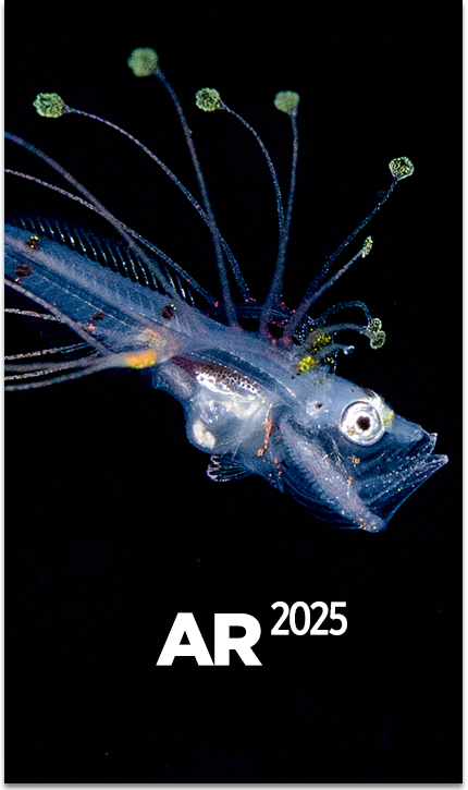 MB AR22|23