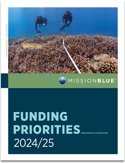 Mission Blue Foundation Priorities